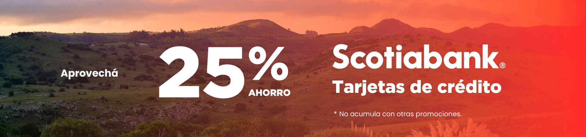 Scotia_25%