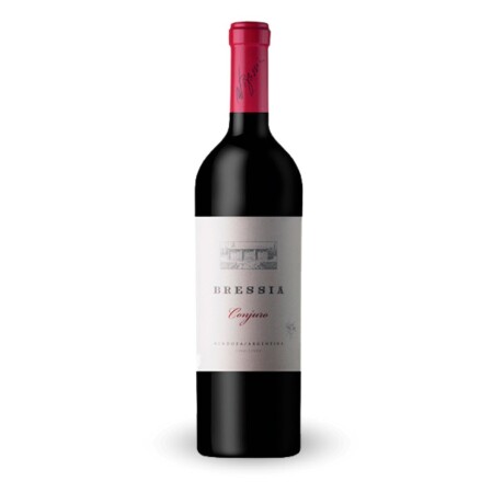 Vino Conjuro Blend Bressia Vino Conjuro Blend Bressia