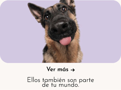 MASCOTAS