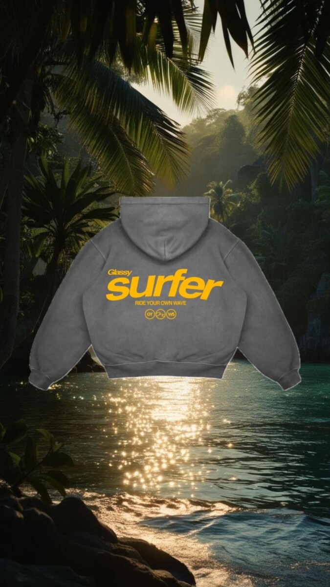 Hoodie Surfer / Gris 
