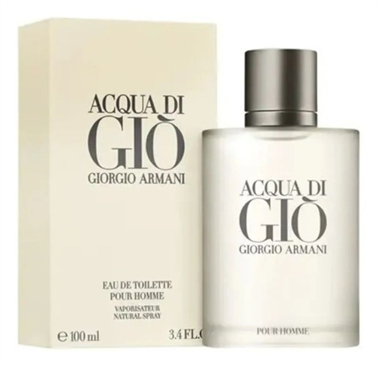 Giorgio Armani Perfume Acqua di Giò EDT 100 ml Refillable 