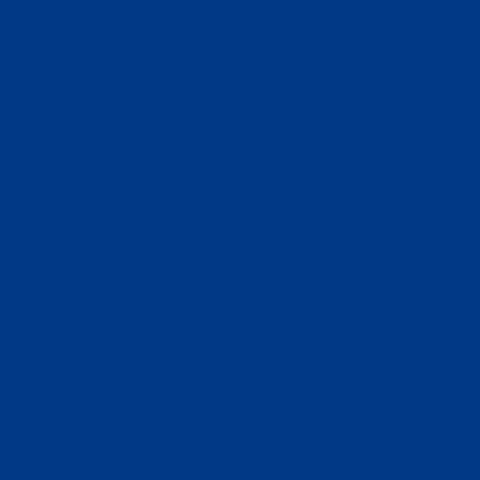 Brilloplast Max - 3en1- Brillante Azul Francia