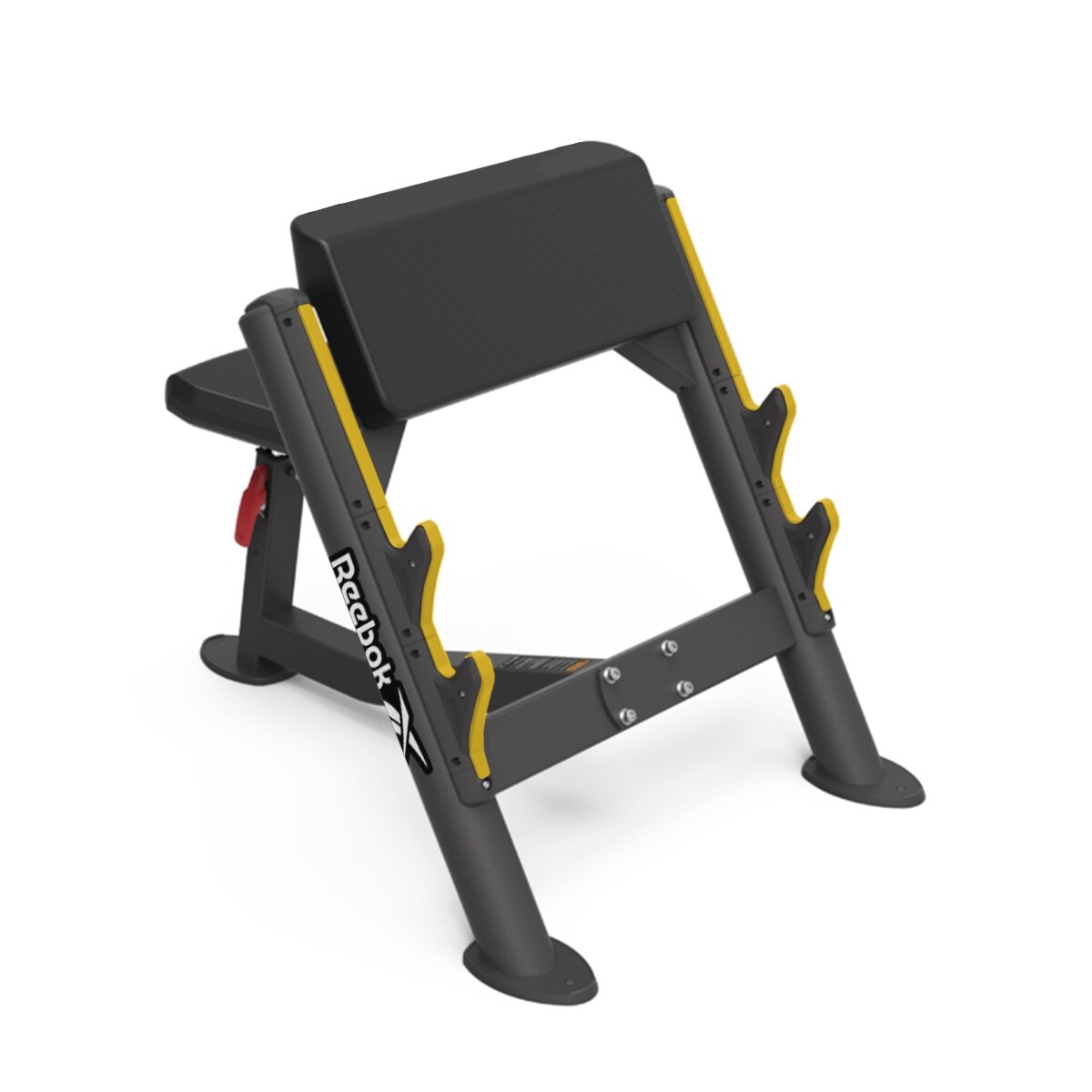 Preacher Curl 
