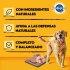 PEDIGREE PATÉ LATA POLLO 340 GRAMOS PEDIGREE PATÉ LATA POLLO 340 GRAMOS