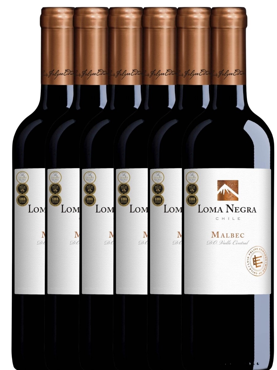 Pack 6x5 Loma Negra Malbec 