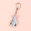 Llavero Acrílico - Peluches 3d Llavero Acrílico - Peluches 3d
