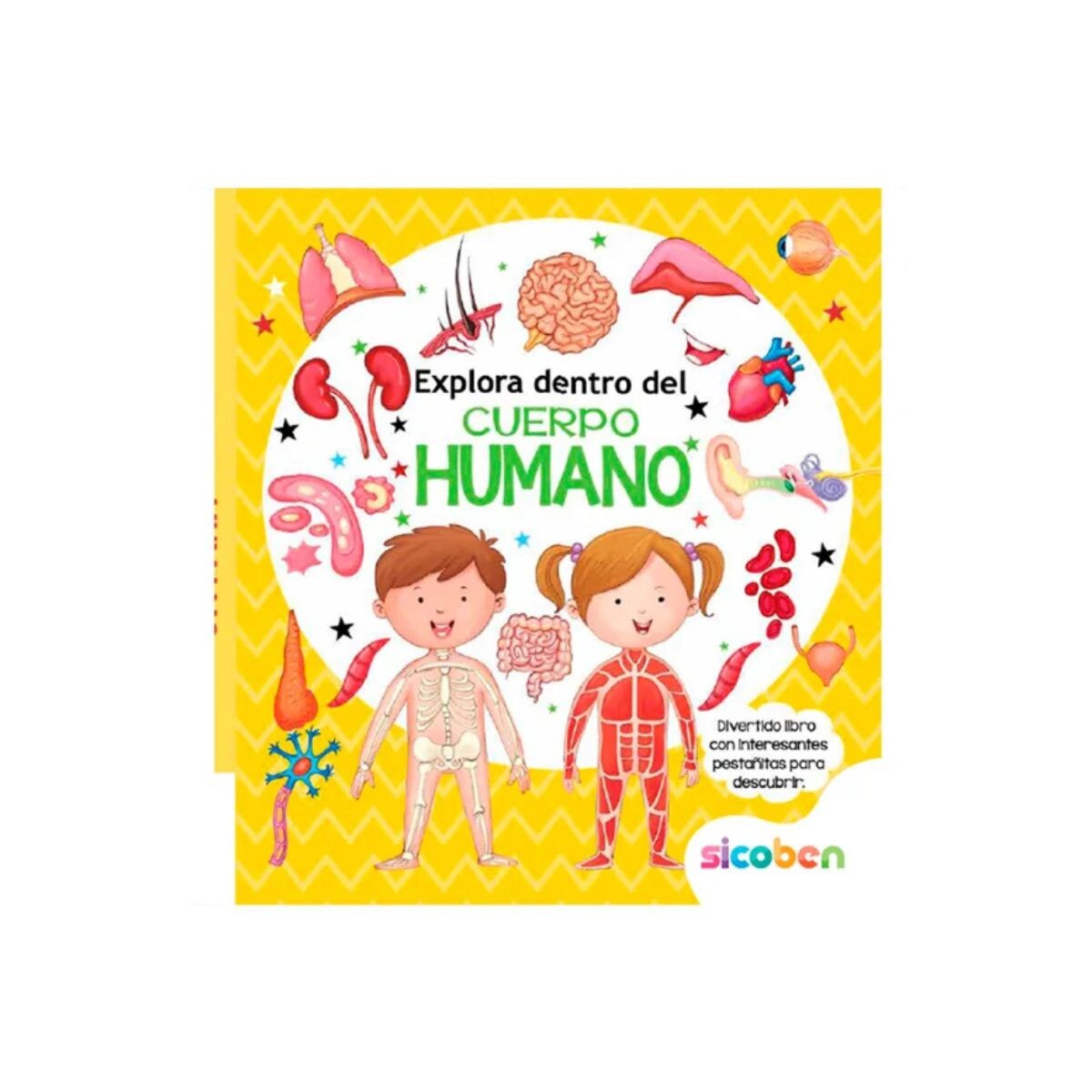 Libro para niños colección pestañitas curiosas - El cuerpo humano 