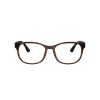 Ray Ban Rb7253l 8350