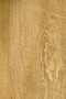 AMBIENTA SERIES EVOLVE TABLA VINILICA AMBIENTA SERIES EVOLVE 24038661 JEQUITIBA184X950X3MM