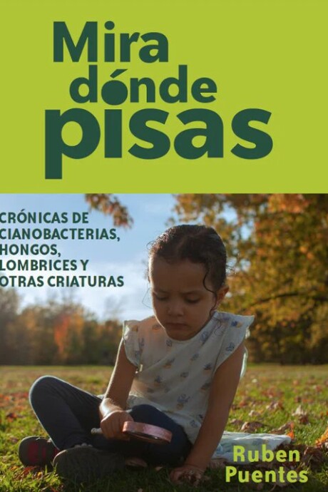 MIRA DONDE PISAS MIRA DONDE PISAS