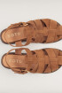 Ruma Camel