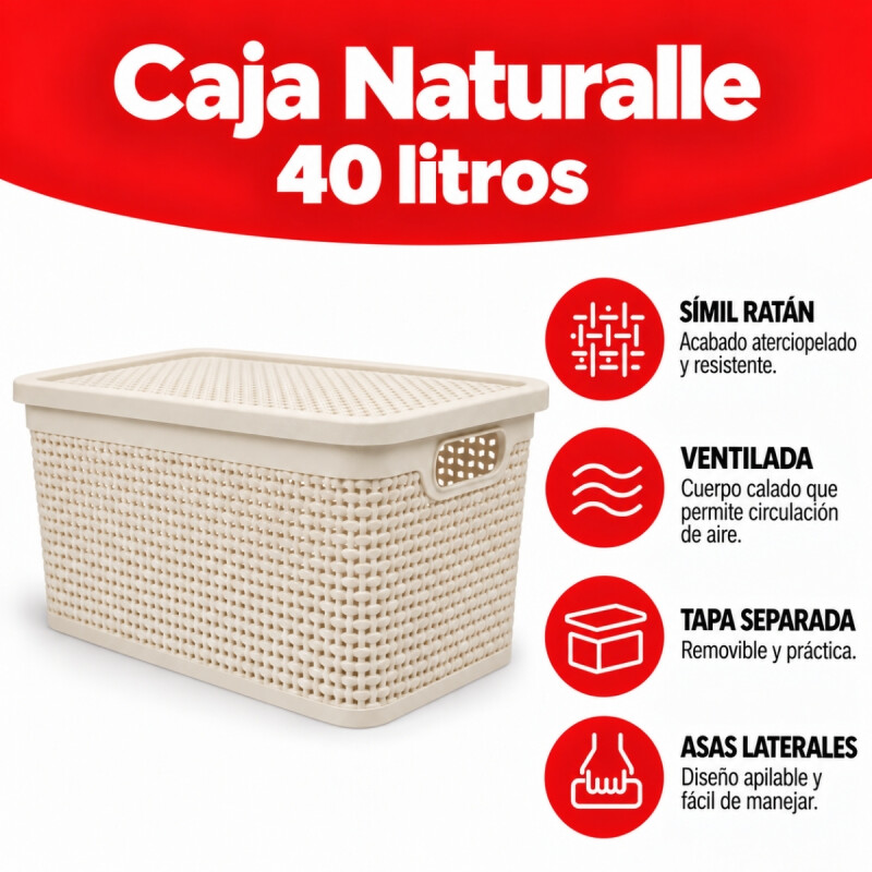 Set x3 Caja simil ratán 40 lts ARENA