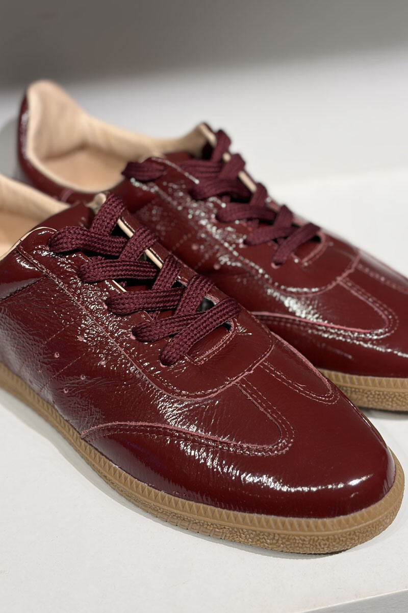 Champion mia Bordeaux
