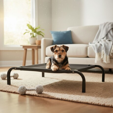 Cama para Mascota Tamaño M modelo Catrex Beepet Cama para Mascota Tamaño M modelo Catrex Beepet
