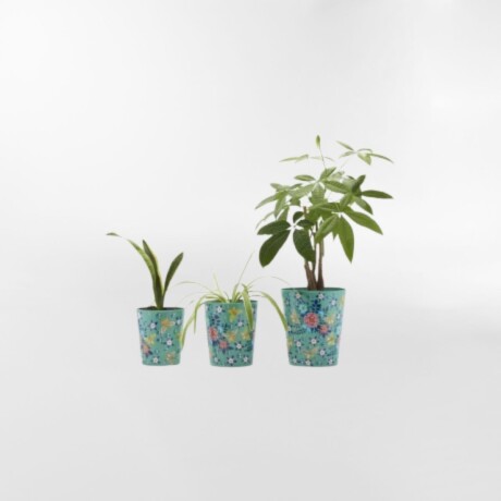 MACETERO FRIDA Celeste - Small