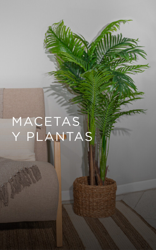 Macetas y plantas