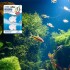 ALIMENTO VACACIONAL PECES HOLIDAY 14 DIAS 40 GRS ALIMENTO VACACIONAL PECES HOLIDAY 14 DIAS 40 GRS