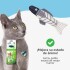 HIERBA GATERA CATNIP KIT DE 6 UNIDADES X 2 G C/JUGUETE INSECTO PARA GATOS HIERBA GATERA CATNIP KIT DE 6 UNIDADES X 2 G C/JUGUETE INSECTO PARA GATOS