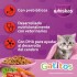WHISKAS GATITOS CARNE Y LECHE DE 10 KG WHISKAS GATITOS CARNE Y LECHE DE 10 KG