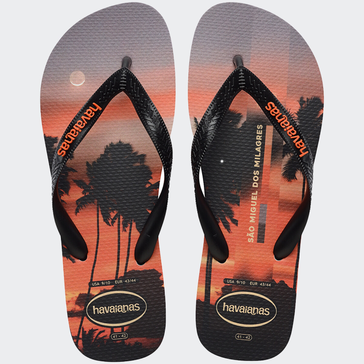 Ojotas Havaianas Top Surfer I - Gris 