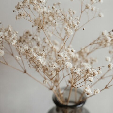 Ramo de flores secas tipo Gypsophila Ramo de flores secas tipo Gypsophila