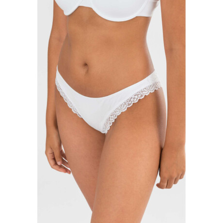 Bikini clematis Blanco