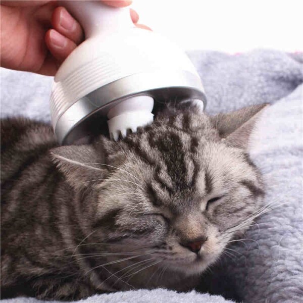 Masajeador Recargable USB Gatos Perros Regulable Con Base Color Variante Lila