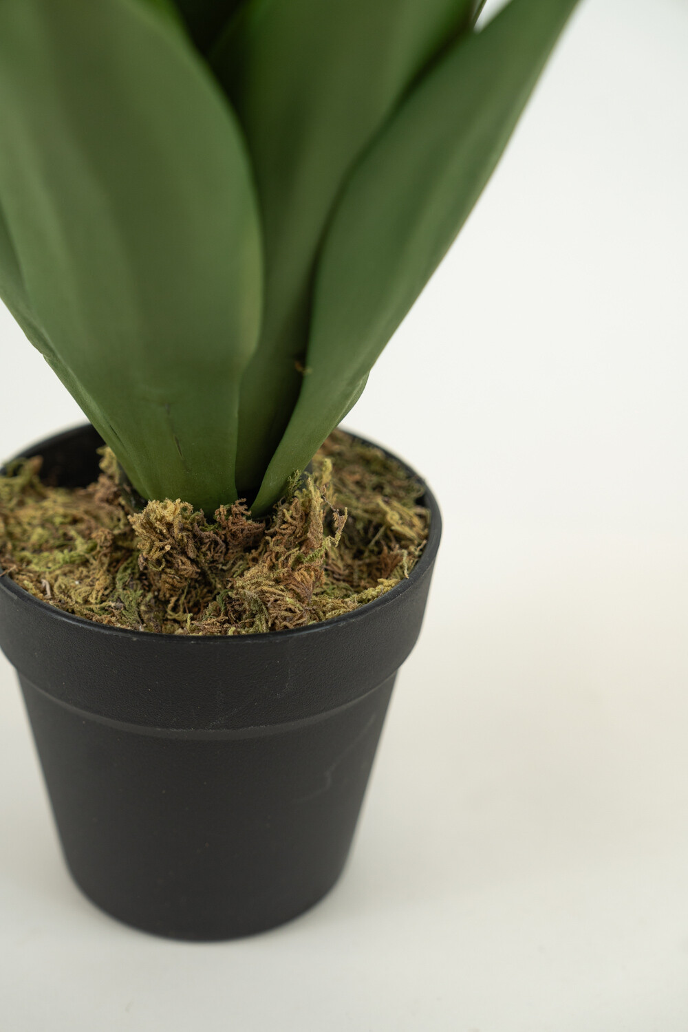 Planta Yucca 35cm Color Unico