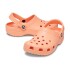 Classic Clog - Unisex Papaya