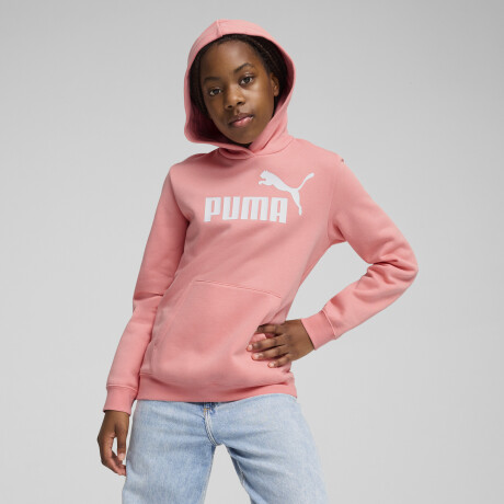 ESS Nş1 Logo Hoodie FL G 68489618 Salmón