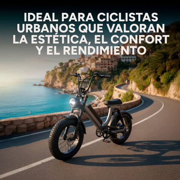 Bicicleta Electrica GoGreen Road Rueda Ancha 350w Bat 10Ah Color Negro