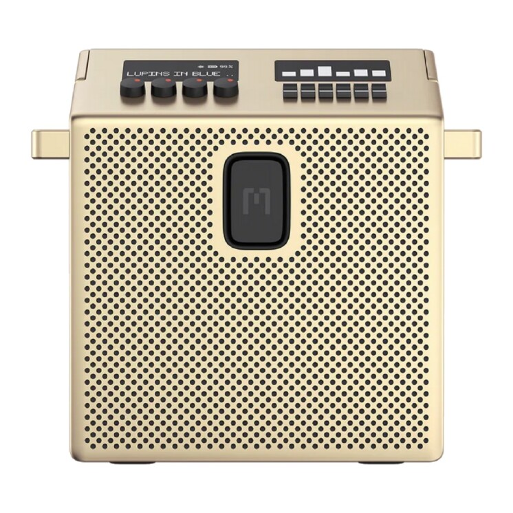 Parlante Bluetooth MONDO Speaker Medium 60 W IPX4 Brass