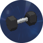 Fitness & Gym