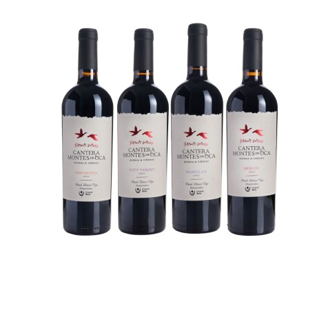 4 cepas bien diferentes Arinarnoa, Petit Verdot, Marselán, Merlot 4 cepas bien diferentes Arinarnoa, Petit Verdot, Marselán, Merlot