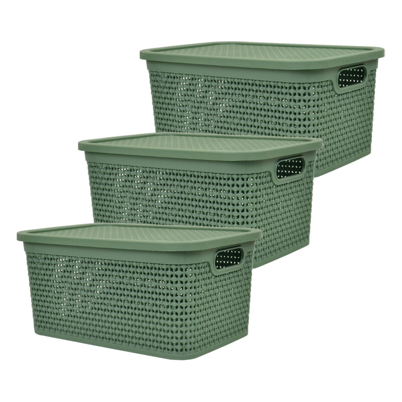 Set x3 Caja simil ratán 7,5 lts 31x21x14,7 cm VERDE