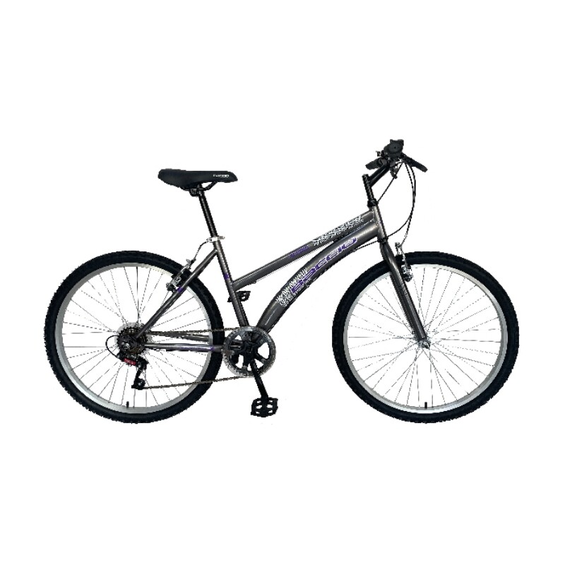 Bicicleta Baccio R.24 Niña Mtb Alpina Gris