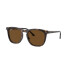 Rayban 2210 Havana Polarizado