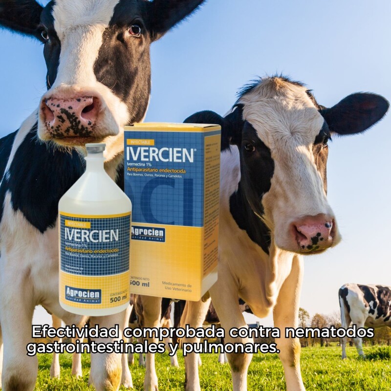 IVERCIEN 1% 500 ML IVERCIEN 1% 500 ML