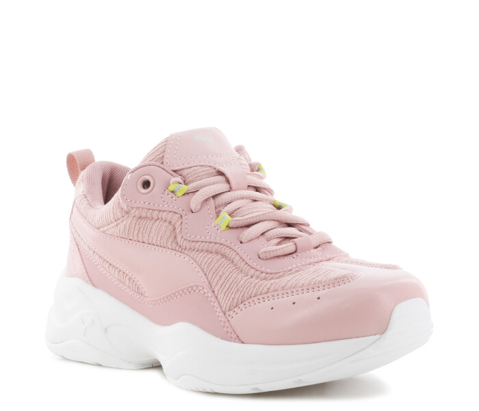 Cilia Shift Rosa