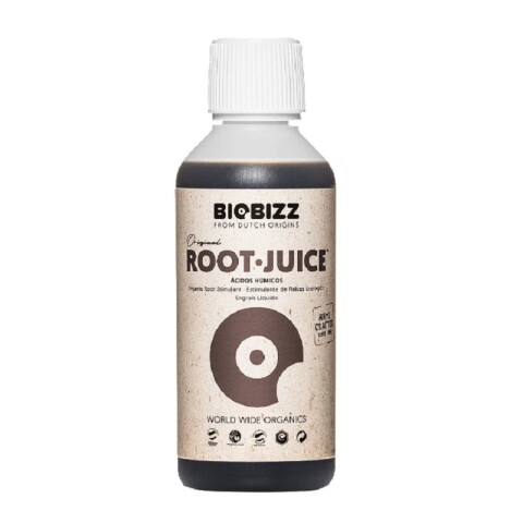ROOT JUICE 250ML