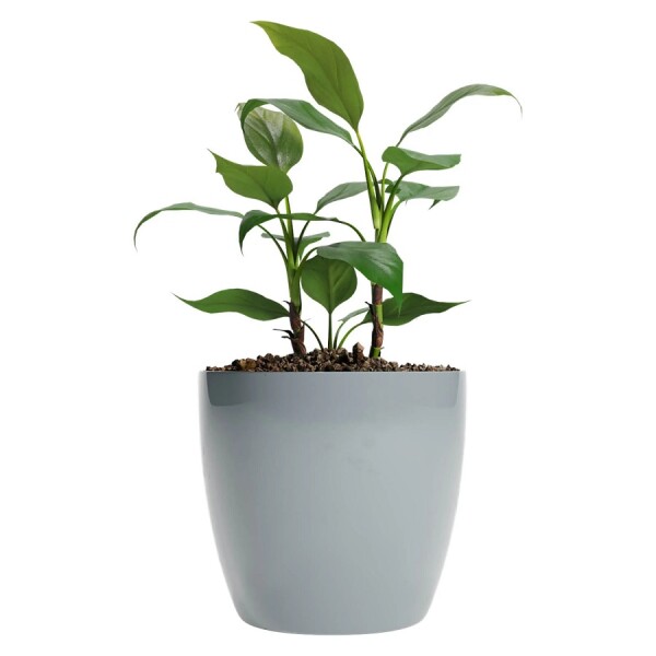 Macetero Premium N22 Gris 19.6cm Alto x 22 Diam Boca, 5,3 lts Macetero Premium N22 Gris 19.6cm Alto x 22 Diam Boca, 5,3 lts