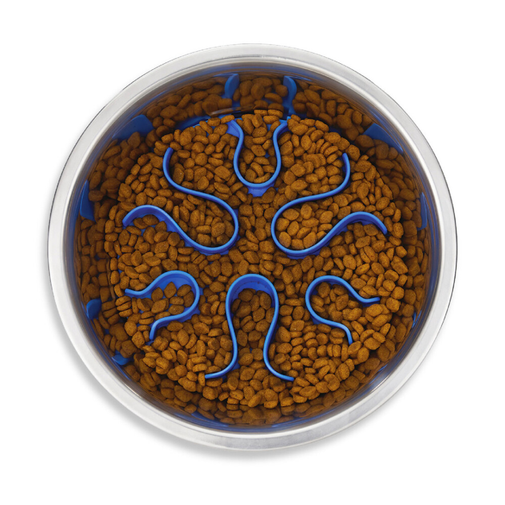 PLATO DE COMIDA EN ACERO INOXIDABLE FUN FEEDER N/A