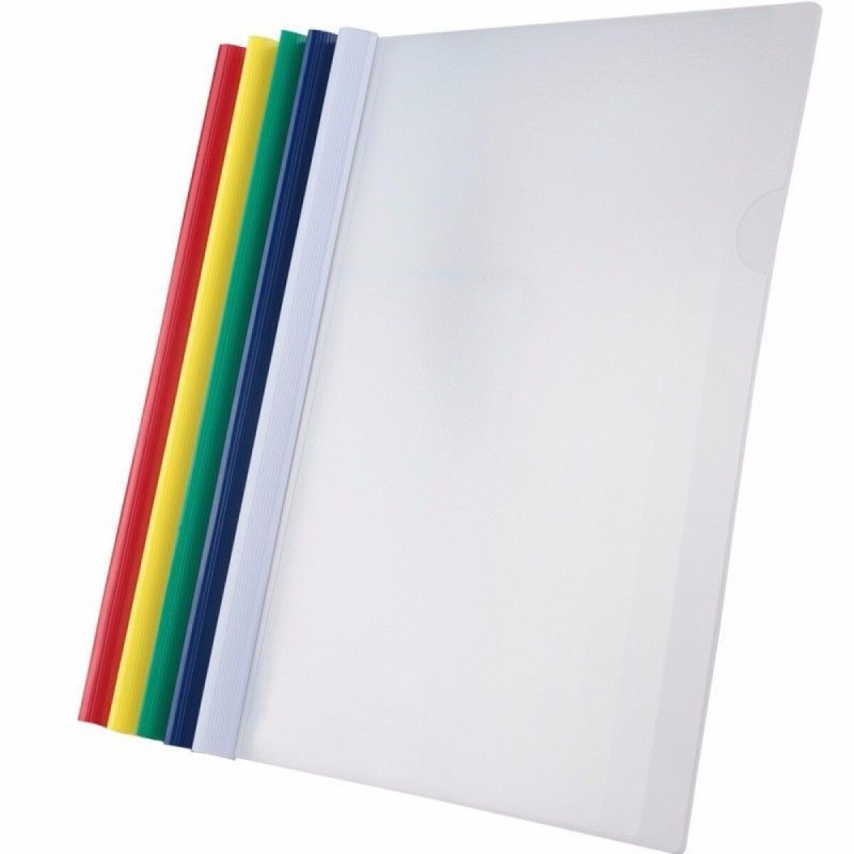 Carpeta Teoria A4 con vaina - Set x5 