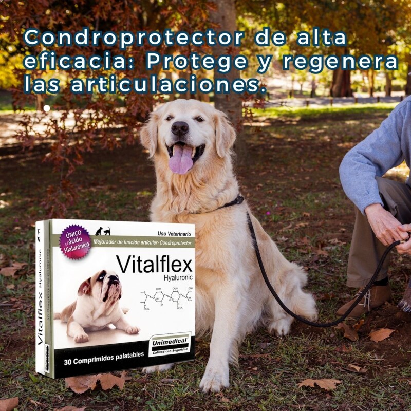 VITALFLEX X BLISTER DE 5 COMPRIMIDOS