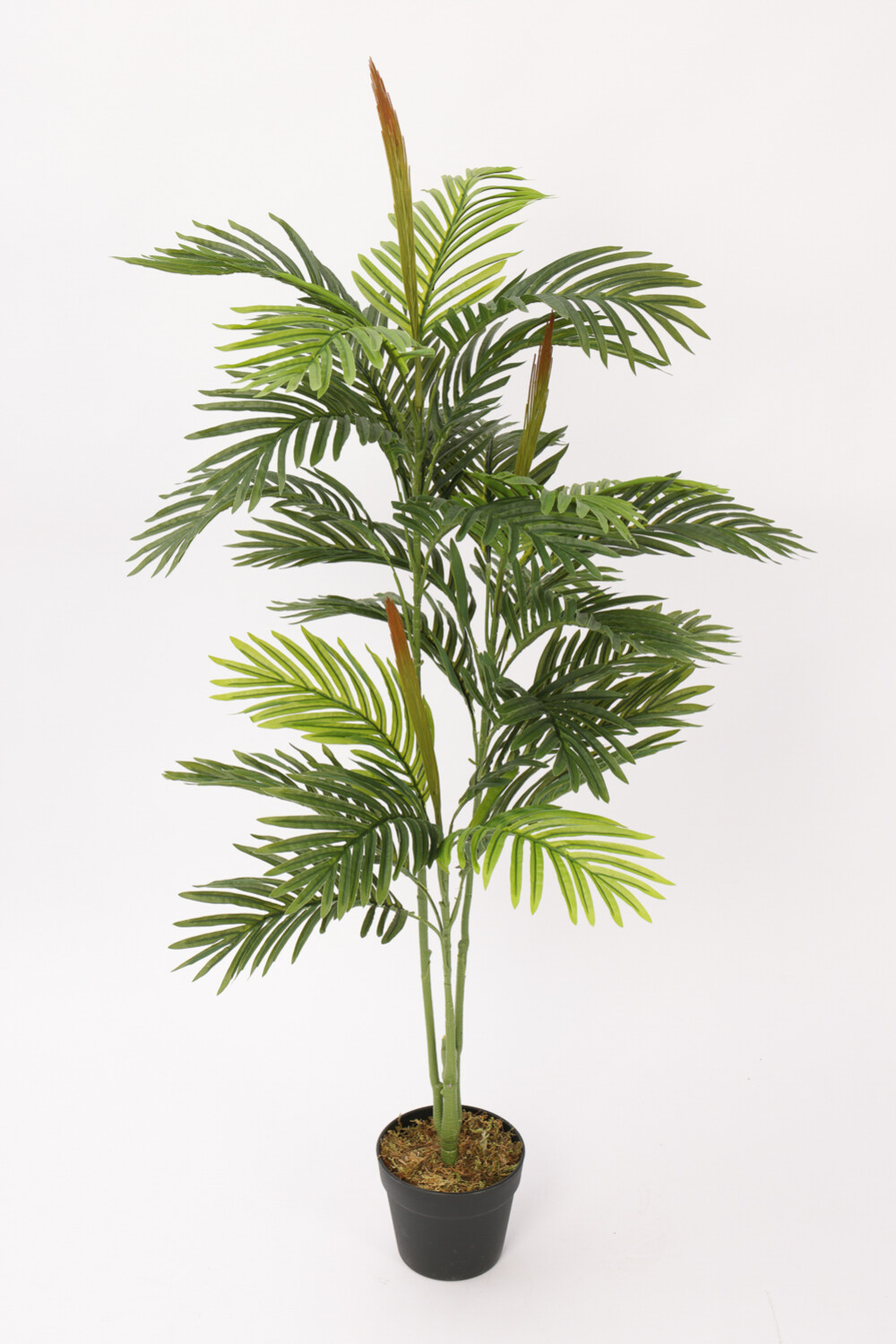 Planta Palmera Areca 85cm Color Unico