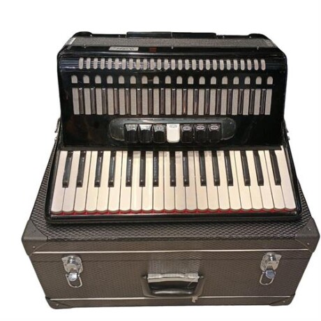 Acordeon Memphis Ft1309 80 Bajos Con Estuche Negro Acordeon Memphis Ft1309 80 Bajos Con Estuche Negro