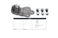 Rotula Fiat Toro, Jeep Compass 4X2 12-25 Der/Izq Rotula Fiat Toro, Jeep Compass 4X2 12-25 Der/Izq