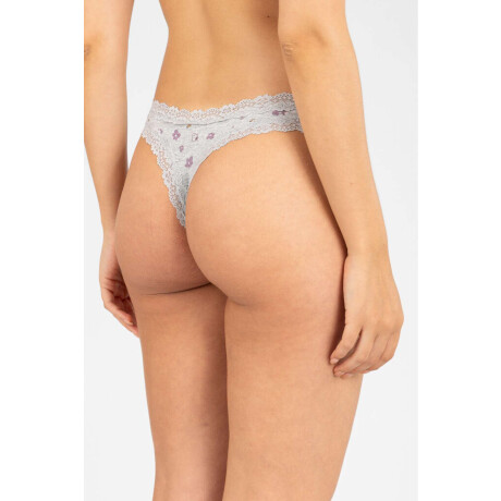 Colaless flower stripe Gris