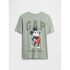 V-DISLOGO SPRING SS LIC GR SP DIS FAM ICEBURG