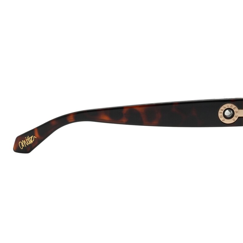 Lentes de Sol Chilli Beans Anitta Animal Print